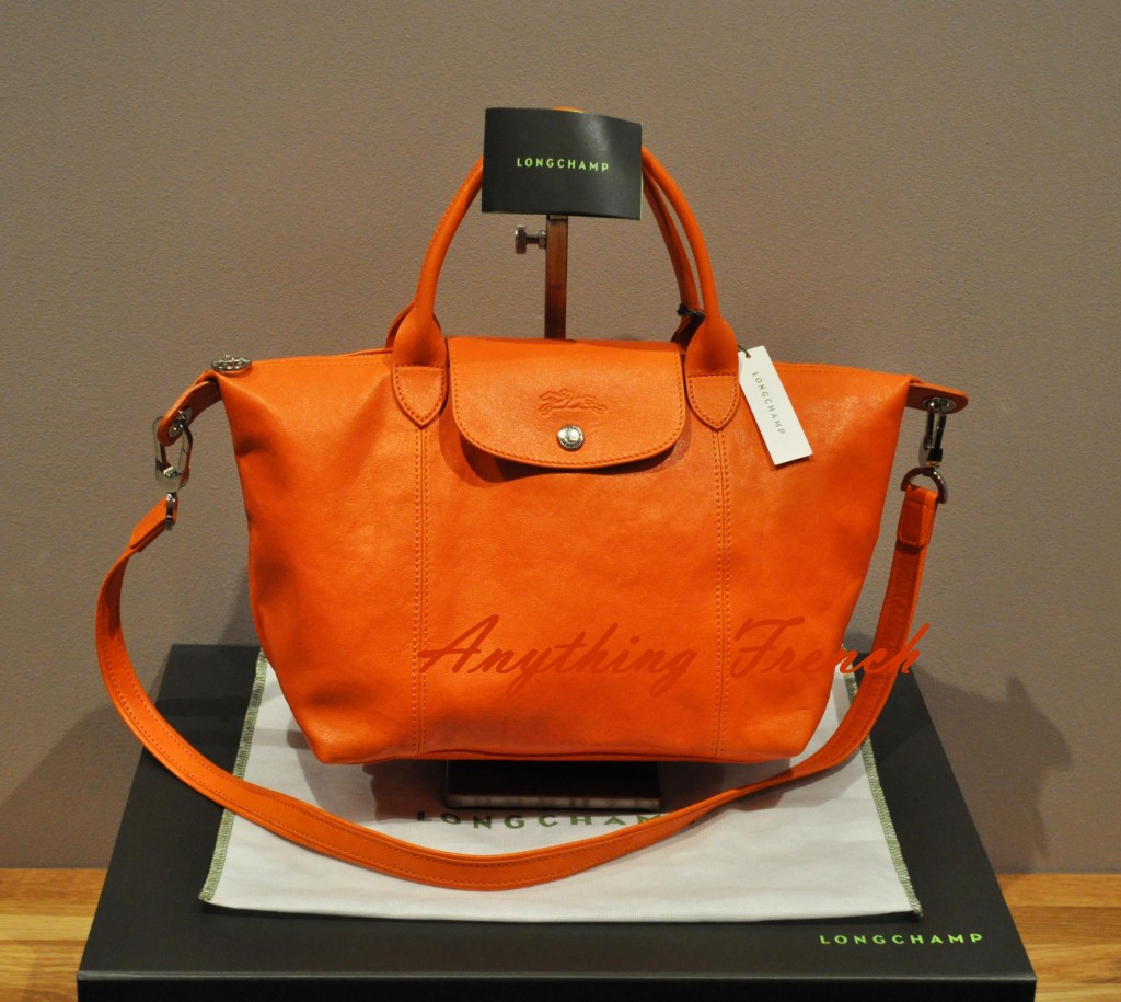 Longchamp Le Pliage Cuir-8